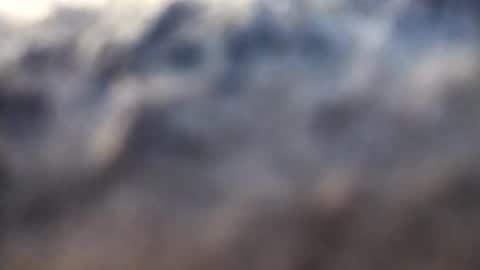 dannowisc online show from 02.17.26