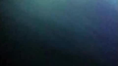 dannowisc online show from 06.04.26