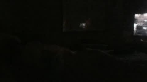 Danielle online show from 12.24.24