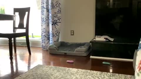 dannyboy621 online show from 10.25.25