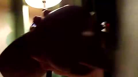 Snapshot of dano9696 chatting on 11.01.25 dano9696 online show from 11.01.25