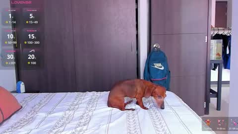 danyfitguy_ online show from 11.09.25