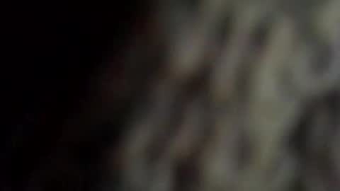 danys69 online show from 10.11.25
