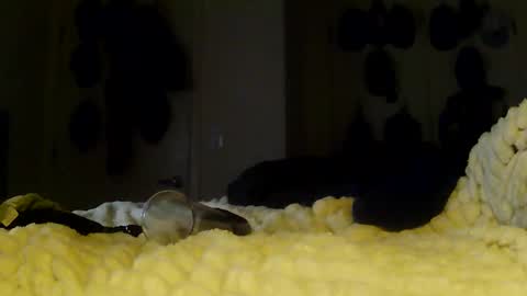 Snapshot of darichrichardson chatting on 01.13.26 Betty and Robert Play time online show from 01.13.26