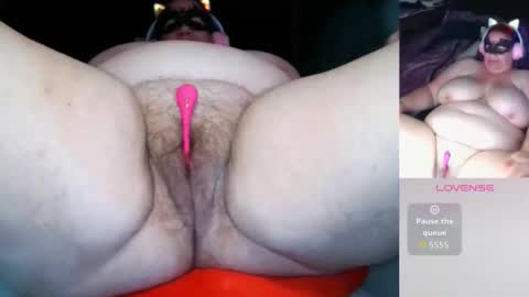 darina_bbw online show from 03.01.26