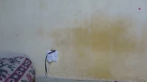 Snapshot of dark_princess1 chatting on 10.08.25 dark_princess1 online show from 10.08.25