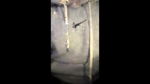 darklight69s25 online show from 01.06.26