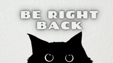 darling  online show from 03.03.26