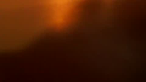 davdao3 online show from 12.22.25