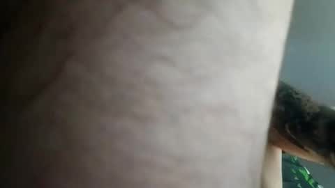 David online show from 02.28.26