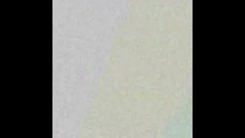 David online show from 02.02.26