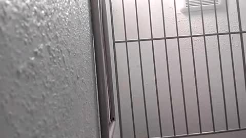 Snapshot of david_stone1969 chatting on 01.25.25 david_stone1969 online show from 01.25.25