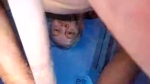 Snapshot of david_stone1969 chatting on 03.08.25 david_stone1969 online show from 03.08.25