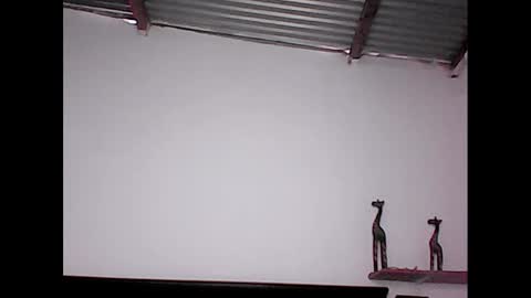 davidstuart online show from 01.20.25