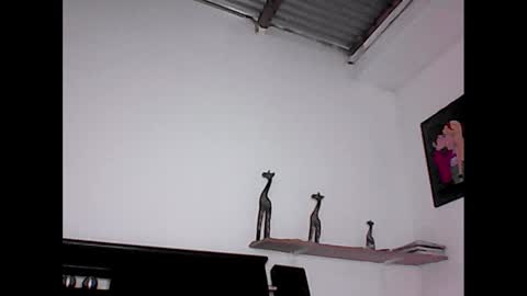 davidstuart online show from 01.23.25