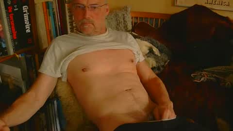 Snapshot of davidbo_no1 chatting on 11.04.25 David online show from 11.04.25