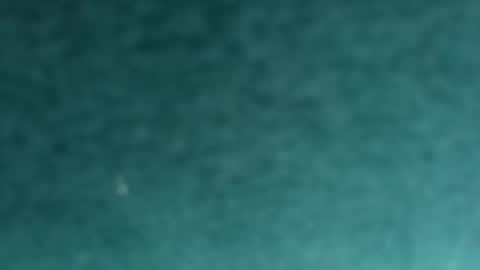 Snapshot of davidf75 chatting on 11.12.25 davidf75 online show from 11.12.25