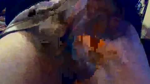 davidneedmore online show from 01.15.26