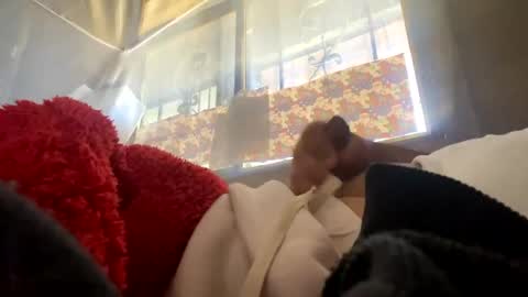 davzsoher online show from 01.06.25