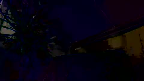 Snapshot of dayblue chatting on 03.01.26 dayblue online show from 03.01.26