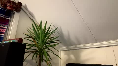 Snapshot of dayblue chatting on 03.02.26 dayblue online show from 03.02.26