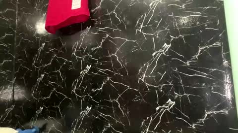 Snapshot of daylebellman chatting on 04.12.26 May online show from 04.12.26