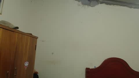 Dylon online show from 11.10.25