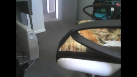 Snapshot of dazzle68 chatting on 03.14.26 Dazzle68 online show from 03.14.26