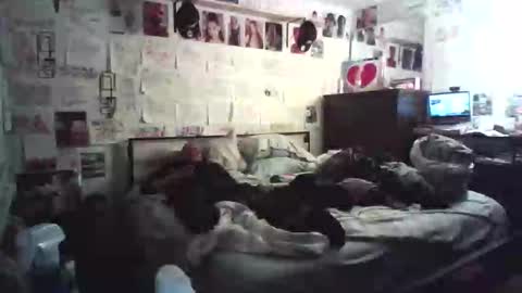 dbeamon92 online show from 02.07.26