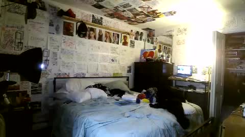 dbeamon92 online show from 03.08.26