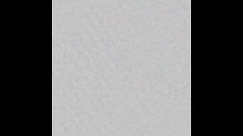 dxdawgty online show from 02.16.26