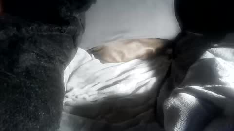 ddick0303 online show from 04.12.26