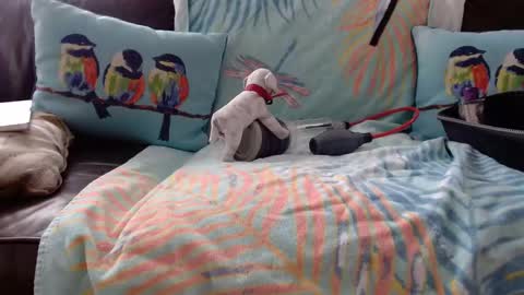 Snapshot of deeperjohnny chatting on 10.21.25 deeperjohnny online show from 10.21.25