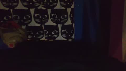 CozyClementine online show from 04.09.26