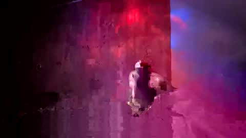 den2807 online show from 04.17.26