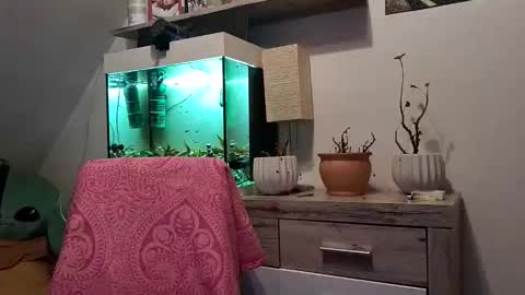 Denise and Brad online show from 02.03.26