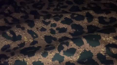 Snapshot of derek829099 chatting on 09.11.25 derek829099 online show from 09.11.25