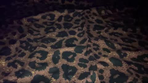 Snapshot of derek829099 chatting on 10.09.25 derek829099 online show from 10.09.25