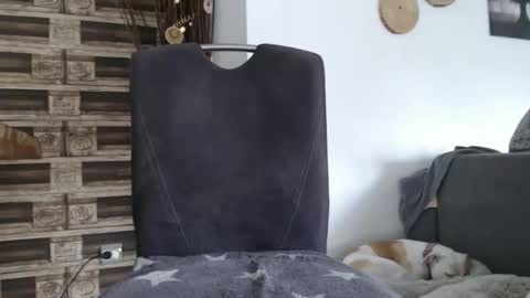 despotar123 online show from 10.07.25