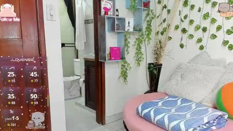 Destiny online show from 01.08.26