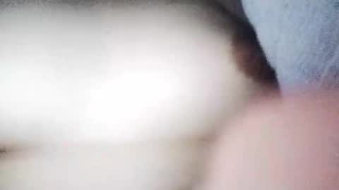 desurvv0999 online show from 11.19.25