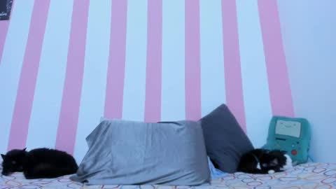 Johana online show from 03.17.26