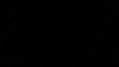 dexcarter81 online show from 03.02.25