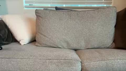 dgafsd online show from 12.15.25