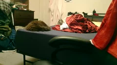 Steve online show from 02.15.26