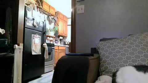 dickwack4u online show from 01.04.25