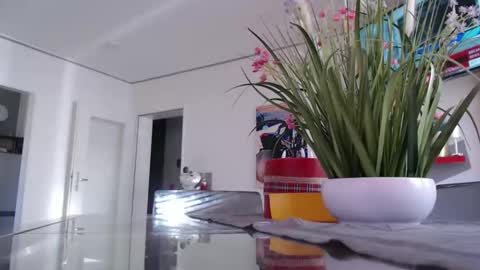 Snapshot of didiegal1 chatting on 03.02.26 squirtcock online show from 03.02.26