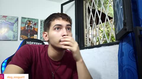 Snapshot of diegorogue_ chatting on 02.08.25 Diego rogue online show from 02.08.25