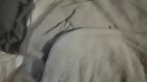 Snapshot of dig_bick_38 chatting on 10.10.25 Daddy online show from 10.10.25