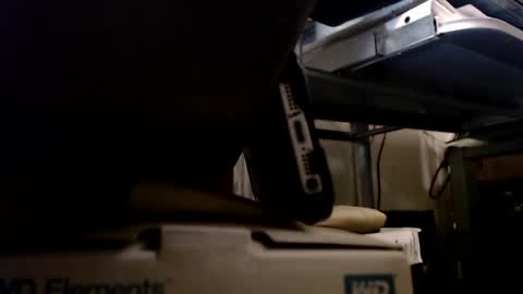 Snapshot of digbird1 chatting on 01.13.25 dbNorth online show from 01.13.25